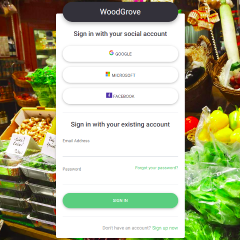 自定義註冊和登入頁面和背景影像