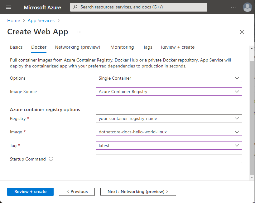 顯示 Azure Container Registry 選項的螢幕快照。