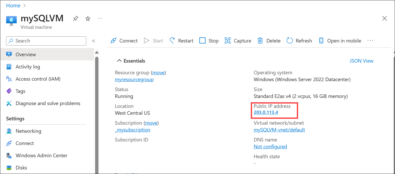 顯示公用IP位址的螢幕快照。