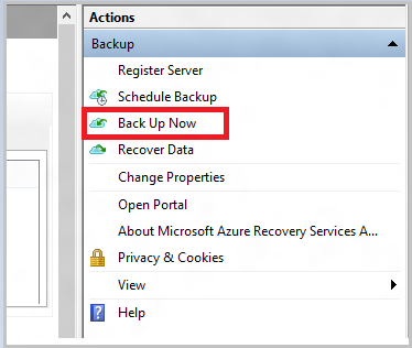 顯示如何使用 [立即備份] 起始脫機備份的螢幕快照。