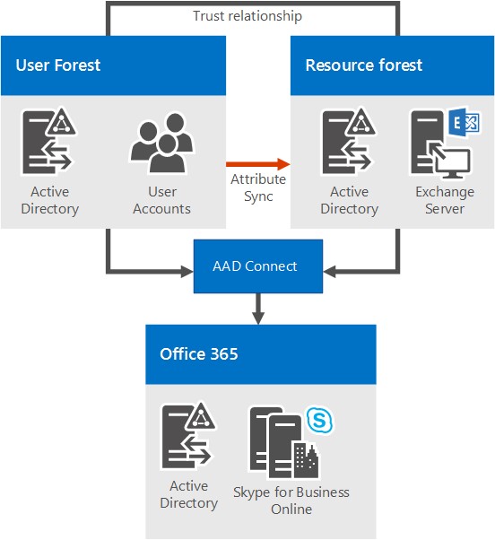 顯示兩個 AD 森林、一個使用者森林和一個資源林。這兩個森林具有信任關係。它們會使用 Microsoft Entra Connect 與 Microsoft 365 或 Office 365 同步處理。所有使用者都已透過 Microsoft 365 或 Office 365 啟用商務用 Skype。
