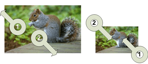 fig01.gif fig01.gif