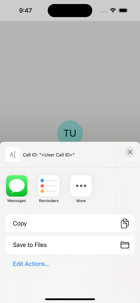 Screenshot of showing share Call ID with Contoso.