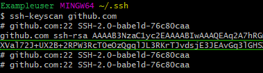 GitBash 中金鑰搜尋結果的螢幕擷取畫面。