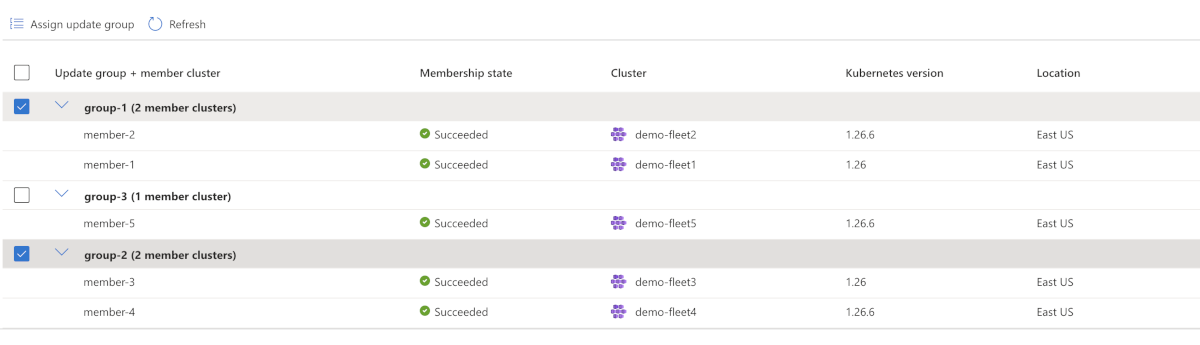 Azure 入口網站頁面螢幕擷取畫面: 建立階段，顯示選取的升級群組。