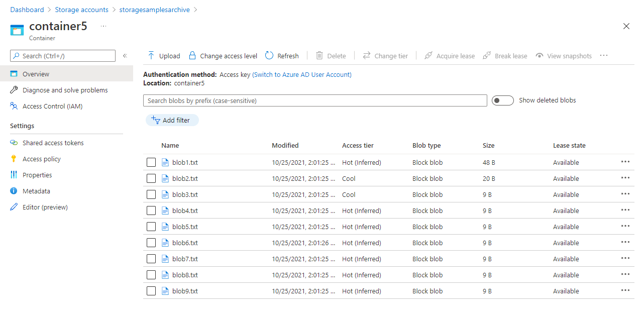 此螢幕快照顯示具有 Azure 入口網站 中預設存取層的 Blob。