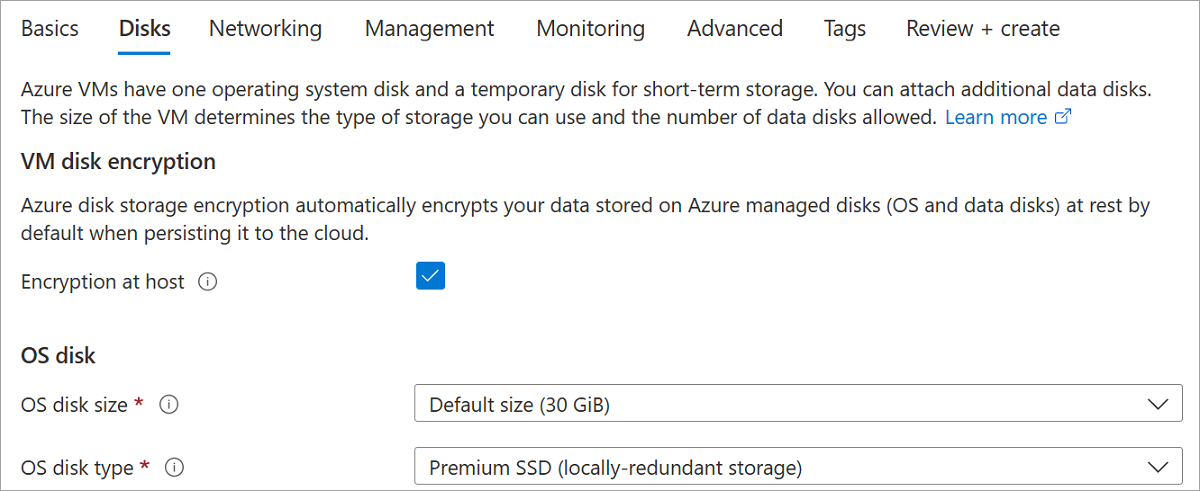 虛擬機器建立磁碟窗格的螢幕擷取畫面,已醒目提示主機上的加密。