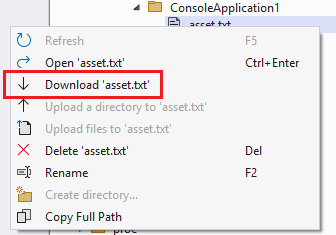[遠端檔案總管] 的螢幕快照，其中顯示功能表選項：下載 'asset.txt'。