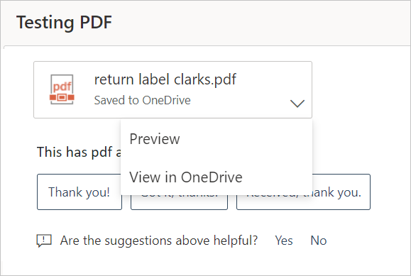 未封鎖 PDF 預覽的螢幕快照。