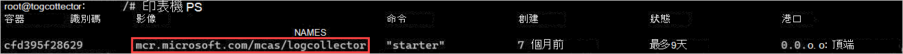 執行 Docker 容器的螢幕快照。