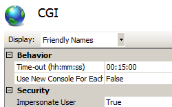 [C G I] 窗格的螢幕擷取畫面。在 [顯示] 方塊中，會選擇易記名稱。[行為和安全性] 類別會顯示。
