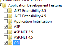 應用程式開發功能導覽樹狀結構的螢幕擷取畫面。已選取 C G I 並反白顯示。