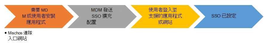 在 Microsoft Intune 安裝 macOS 裝置 SSO 應用程式擴充功能時的終端使用者流程圖。