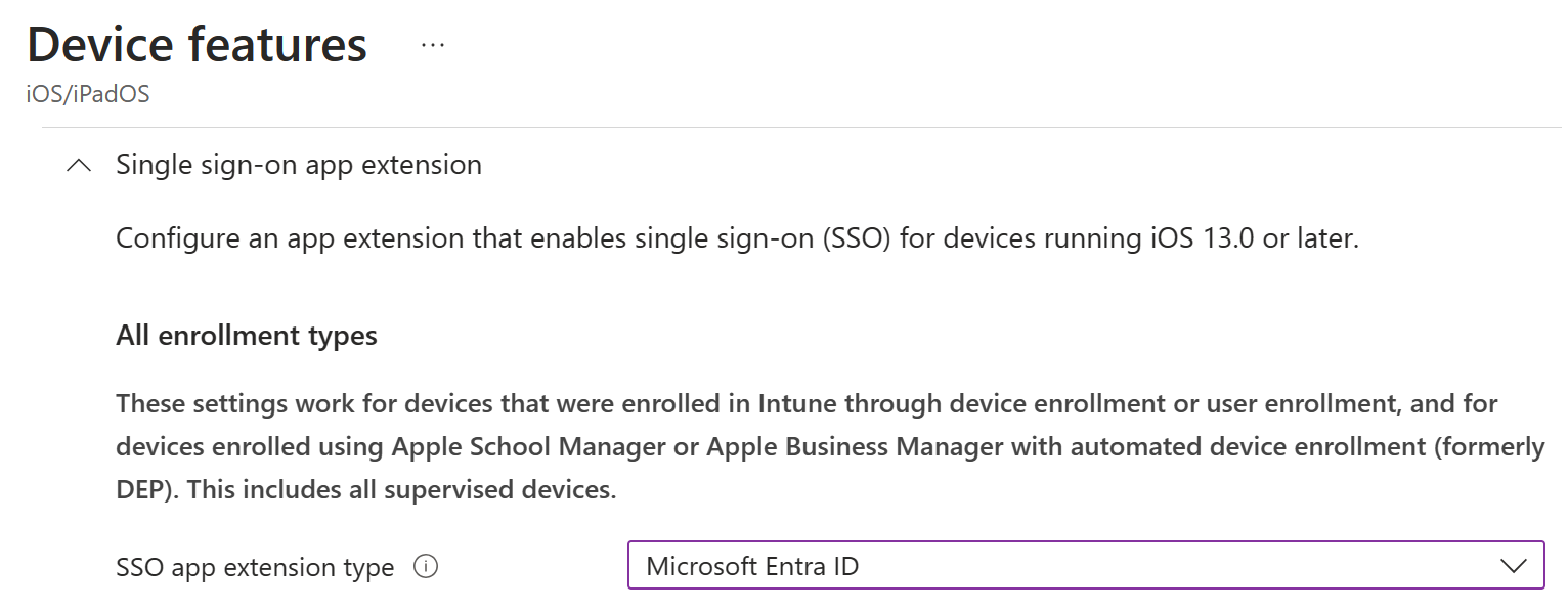 截圖顯示 Intune 中 iOS/iPadOS 的 SSO 應用程式擴充功能類型和 Microsoft Entra ID。