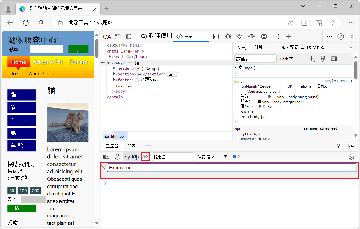 創造活潑的表達