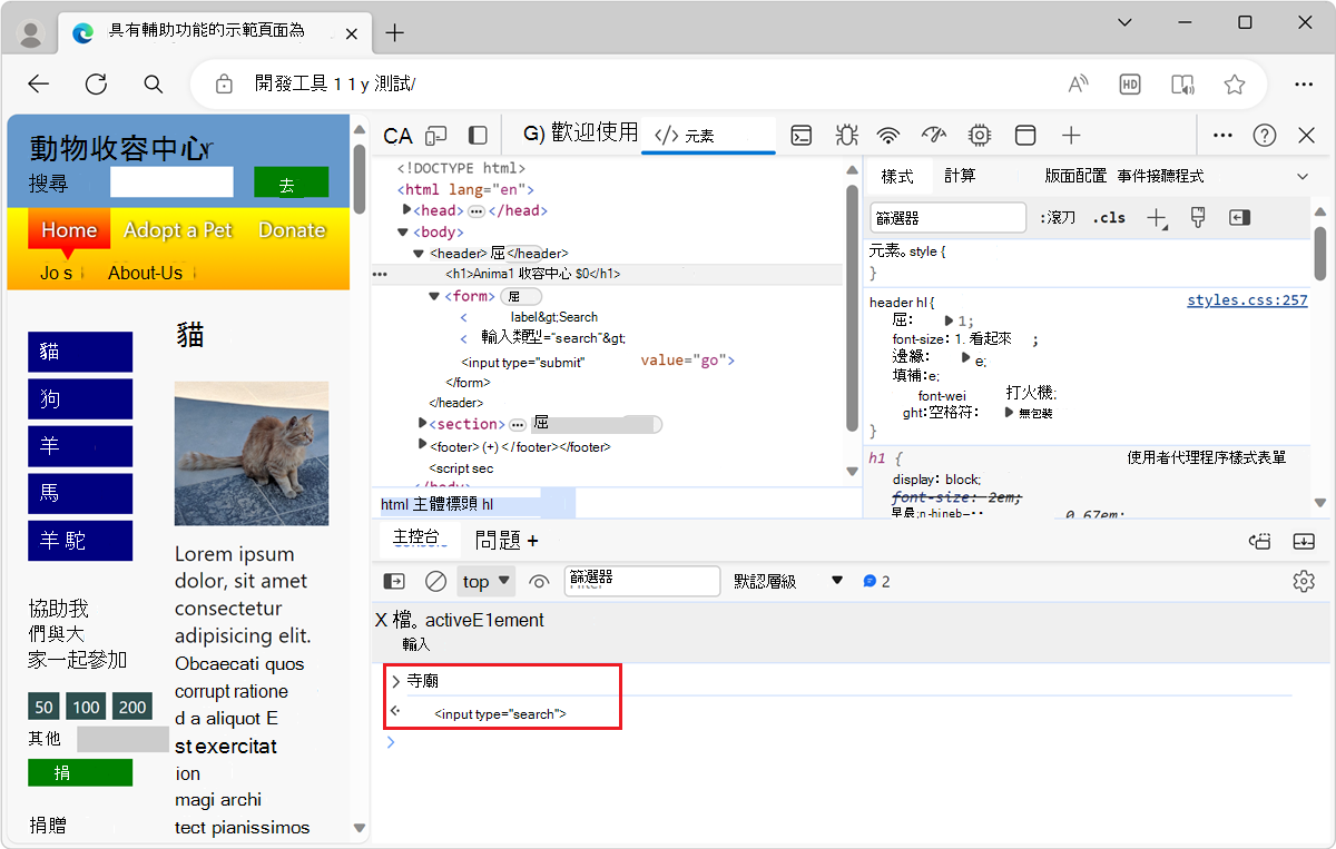 聚焦元素作為主控台工具中的新變數