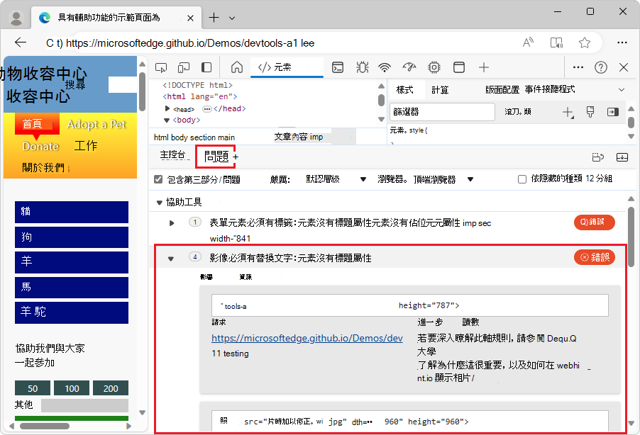 An issue expanded in the Issues tool, displaying additional information on how to fix the issue