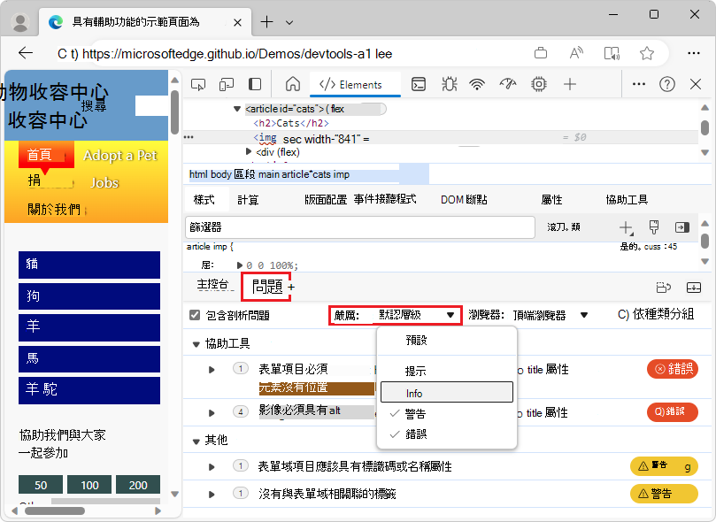 The Issues panel with the Severity dropdown list expanded, showing the different levels that can be selected