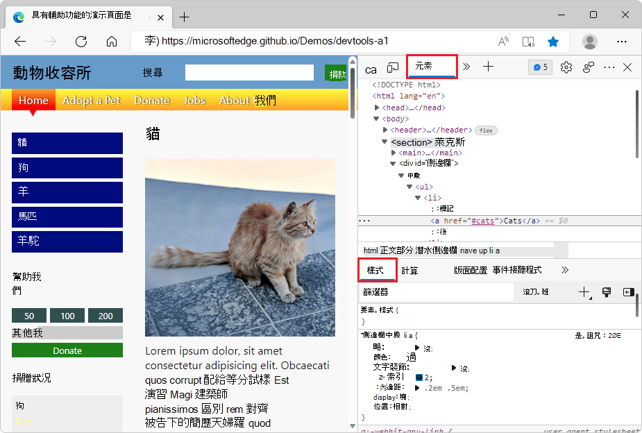 The 'Demo webpage with accessibility issues'