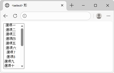 頁面中同時顯示所有選項的清單