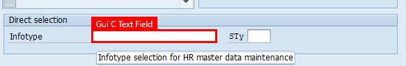 在畫面的 [直接選取] 區域中已選取 [Infotype] 欄位之 SAP 輕鬆存取應用程式的 [維持 HR 主資料] 視窗螢幕擷取畫面。