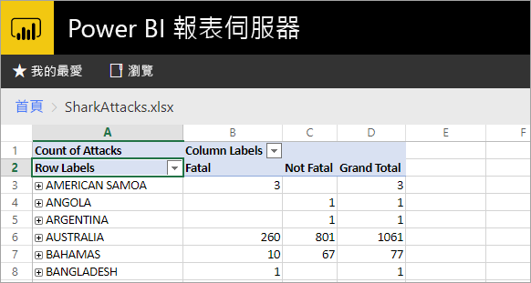 從報表伺服器入口網站檢視的 Excel 報表螢幕擷取畫面。
