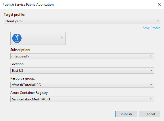 Visual Studio 的 Service Fabric Mesh 發行對話方塊