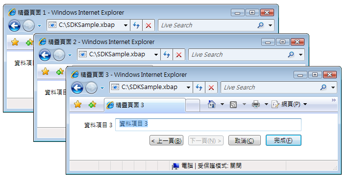 具有資料項目的工作頁面