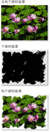 具有 ImageBrush 不透明遮罩的物件