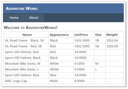 包含外觀欄的 Adventure Works 首頁