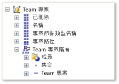 Team 專案維度