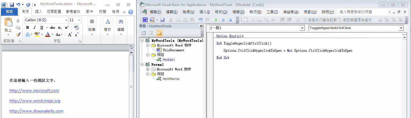 文件和 Visual Basic 編輯器的分割畫面