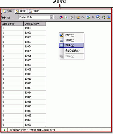 Analysis Services DMX 查詢設計師，結果檢視