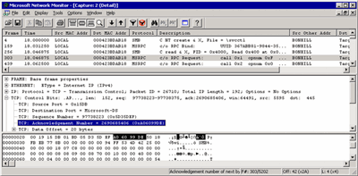 Figure 2 Successful communication in Netmon