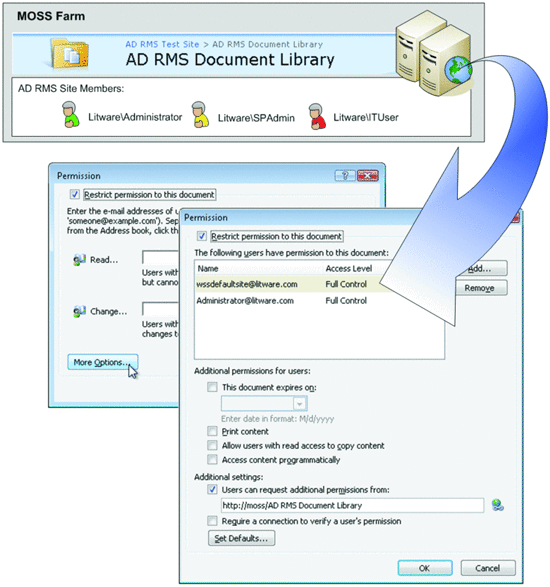 fig04.gif