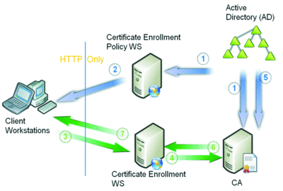 fig5.gif