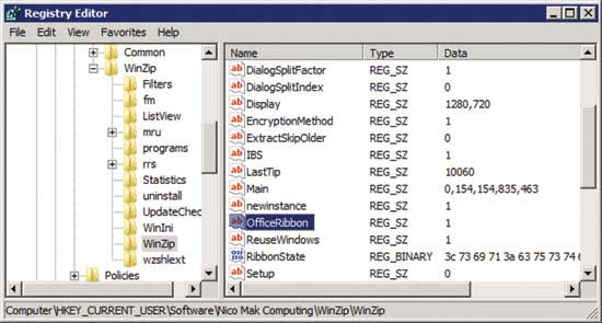 The WinZip OfficeRibbon value