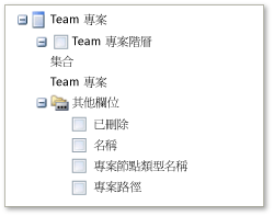 樞紐分析表中的 Team 專案欄位