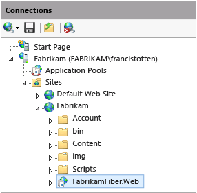 Path to IIS web site and web app