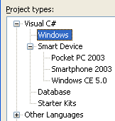 Screenshot of the Project types folder tree in Visual Studio with C# developer settings.