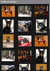 Example screenshot of GridView displaying 15 images