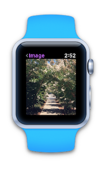 顯示圖片的 Apple Watch