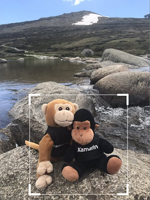 裁剪範例 裁剪範例