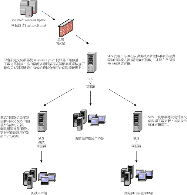 建立 SUS 拓撲