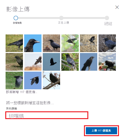 Screenshot that shows how to add a tag description to uploaded photos in Custom Vision.