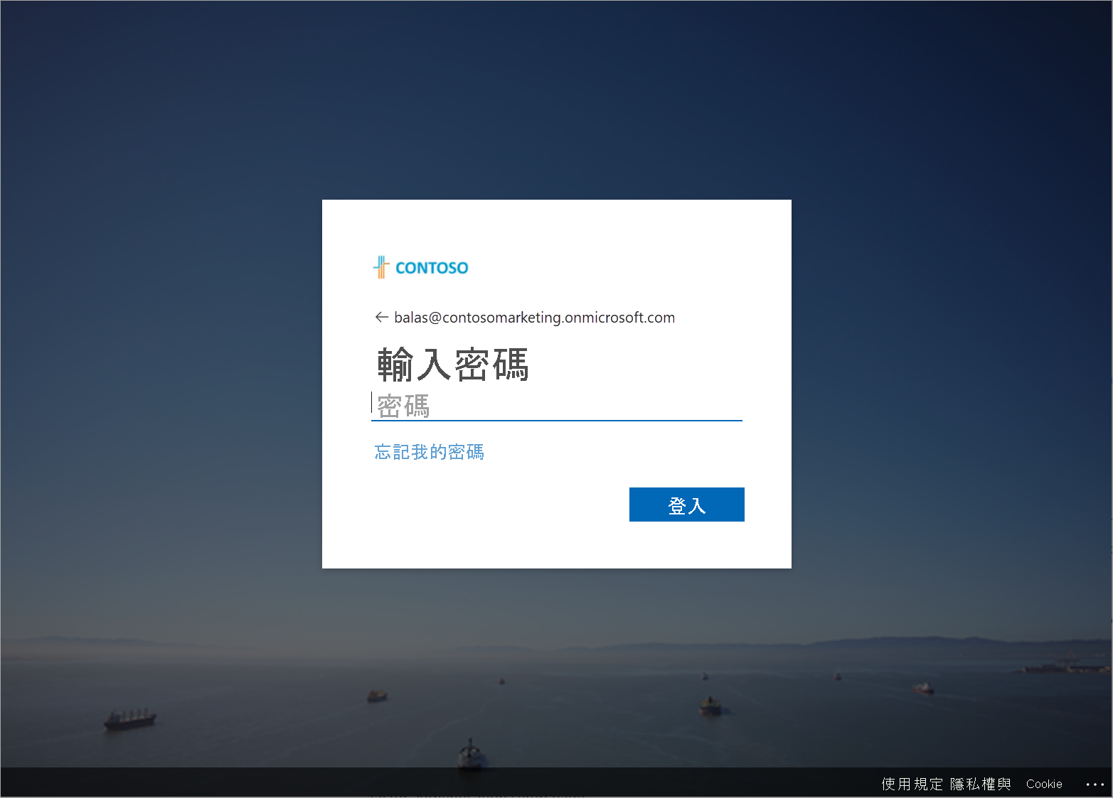 顯示自定義登入頁面的螢幕快照。
