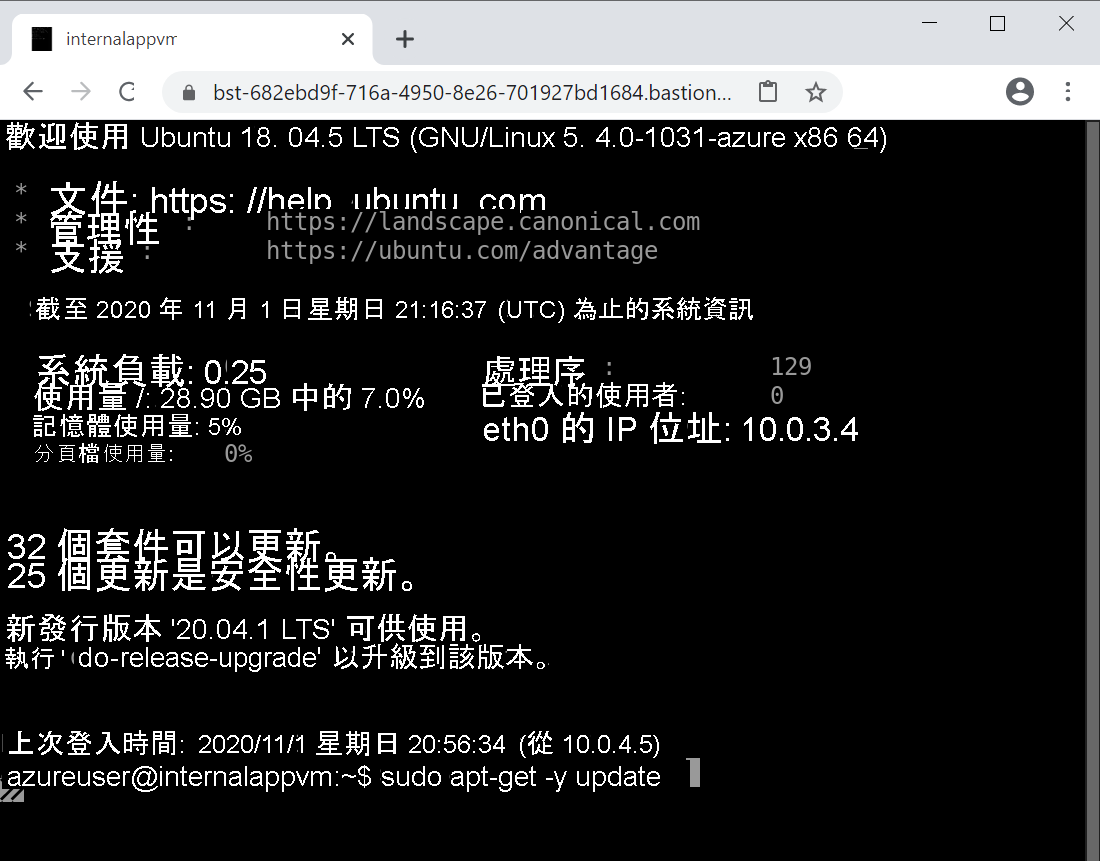 Screenshot of a browser that shows an Ubuntu terminal session.