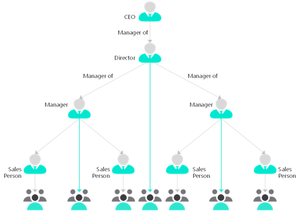 Diagram of hierarchical security for an organization.