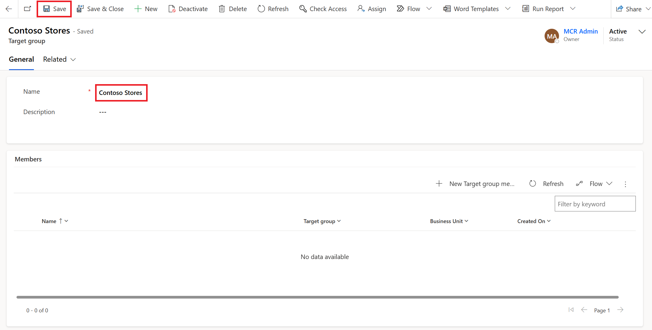 Screenshot of the Target group page with Name set to Contoso Stores.
