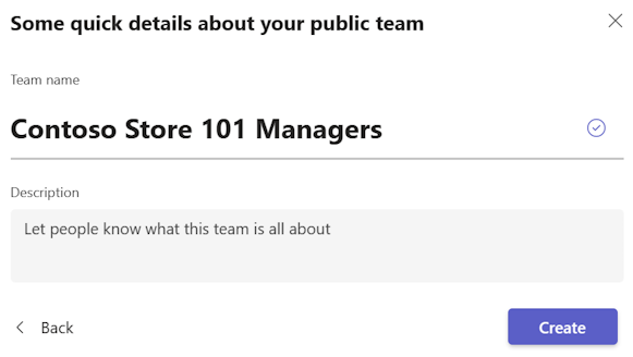 Screenshot of the Some quick details about your public team page with the team name filled in.